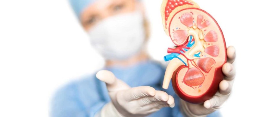 Best Urology Doctor in Krishnagiri